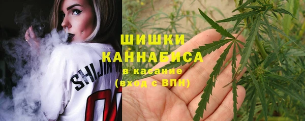 дурь Медвежьегорск